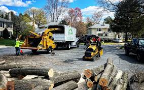 Best Seasonal Cleanup (Spring/Fall)  in Marlinton, WV